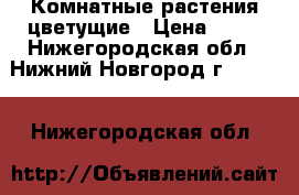 Комнатные растения цветущие › Цена ­ 50 - Нижегородская обл., Нижний Новгород г.  »    . Нижегородская обл.